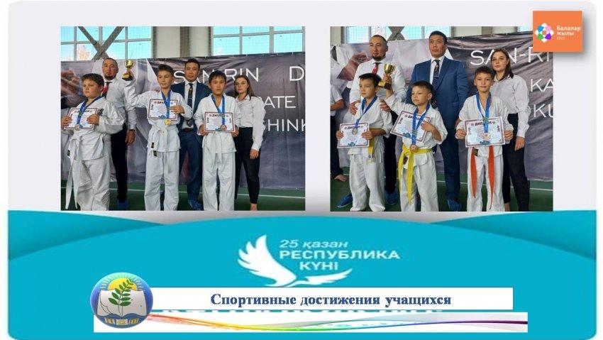 Спортивные достижения