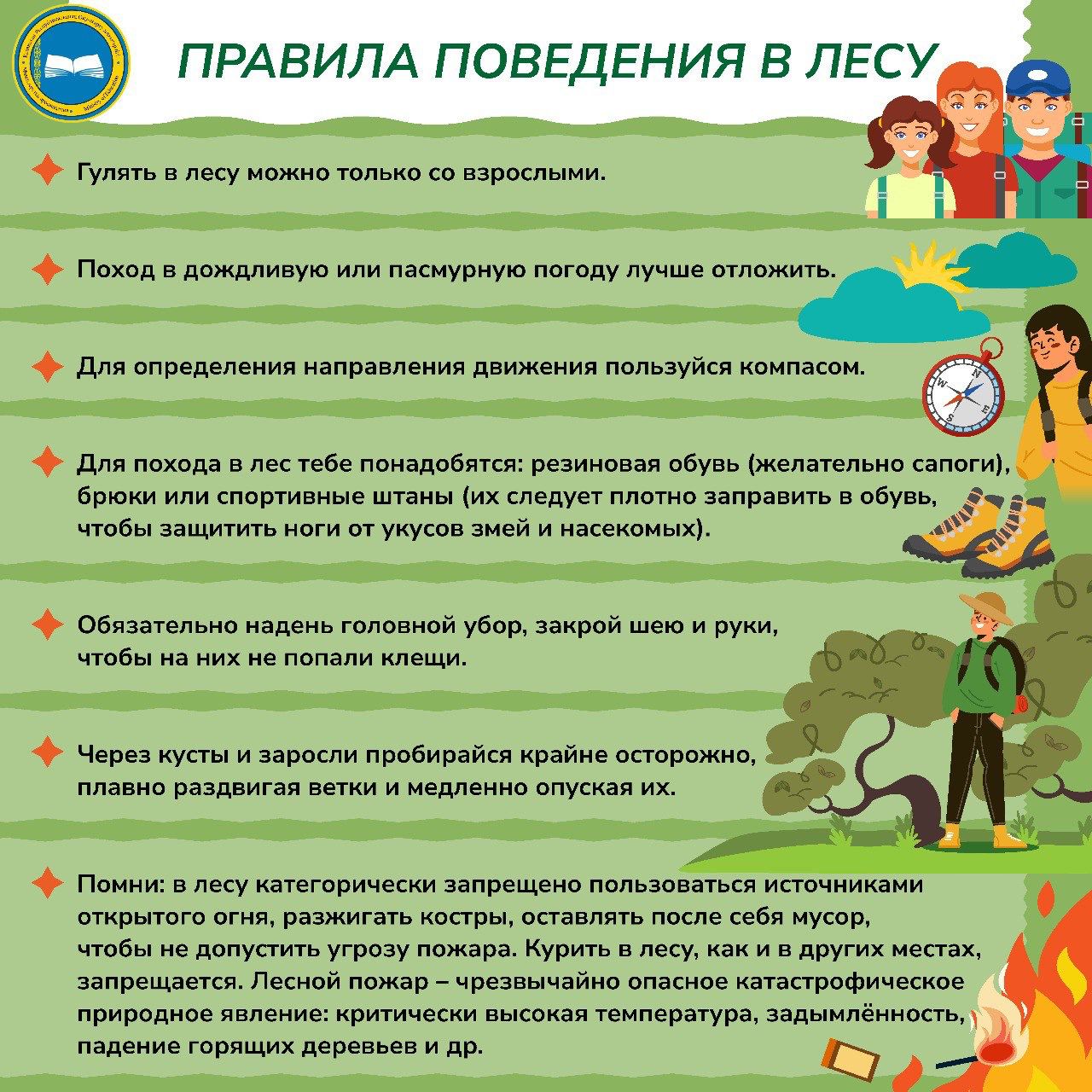 ПРАВИЛА ПОВЕДЕНИЯ В ЛЕСУ