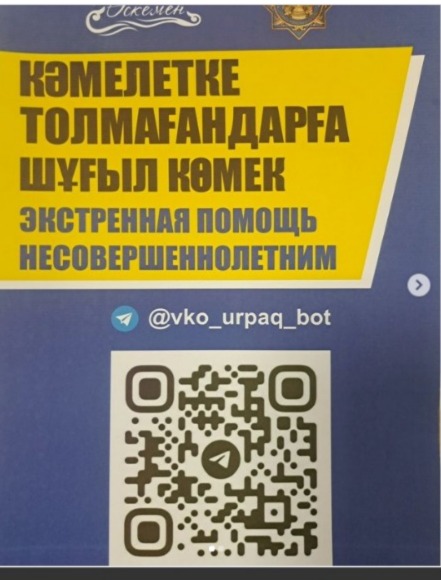 Пилоттық жоба "VKO URPAQ"
